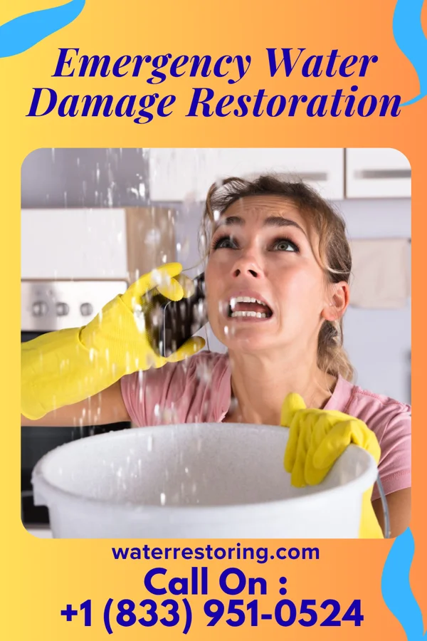 Emergency Water Damage Restoration in Timber Lake, SD