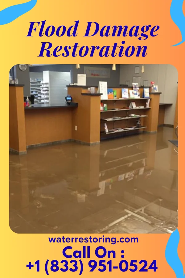 Flood Damage Restoration in Timber Lake, SD
